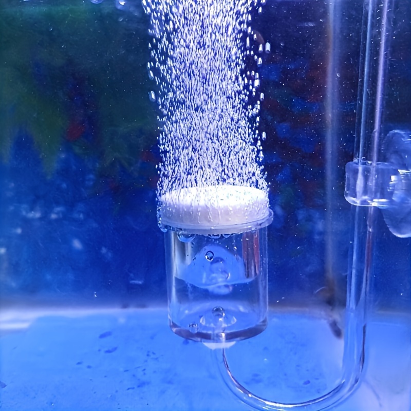 Aquarium Fish Photography - Aquarium Glass CO2 Atomizer Diffuser Bubble