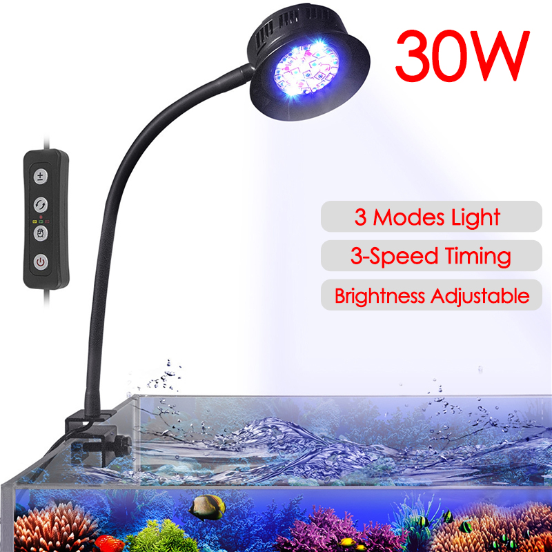 Aquarium Fish Photography - 30W Aquarium Fish Tank Sea Water