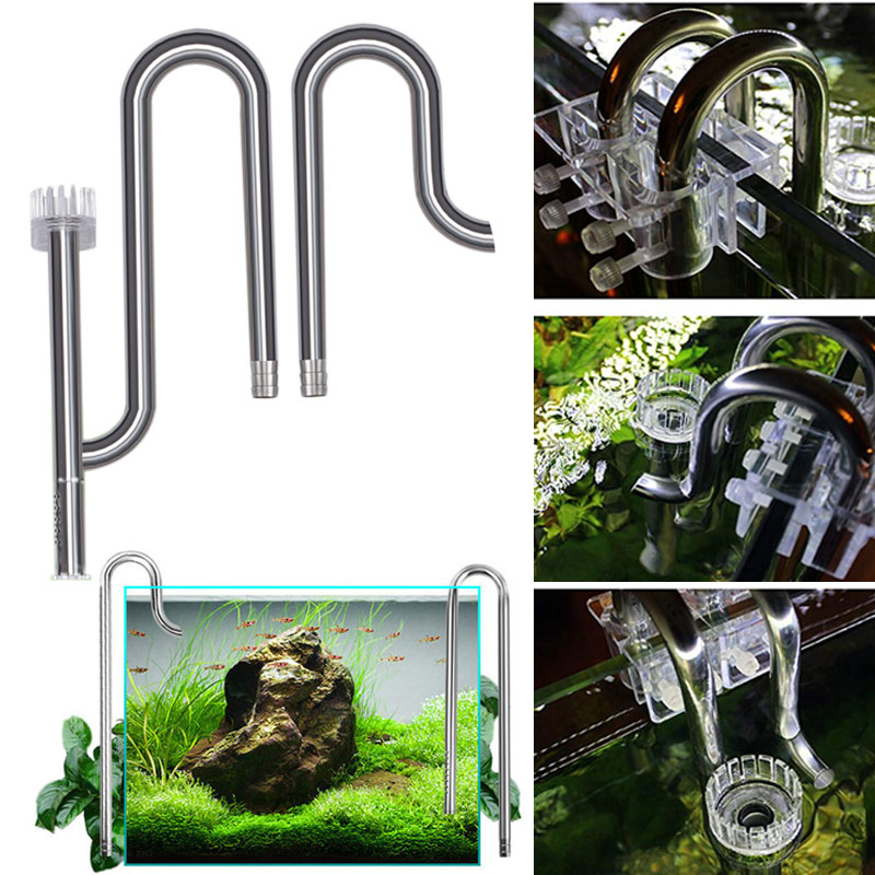 Aquarium Fish Photography - New Fish Tank Lily Pipe Stainless