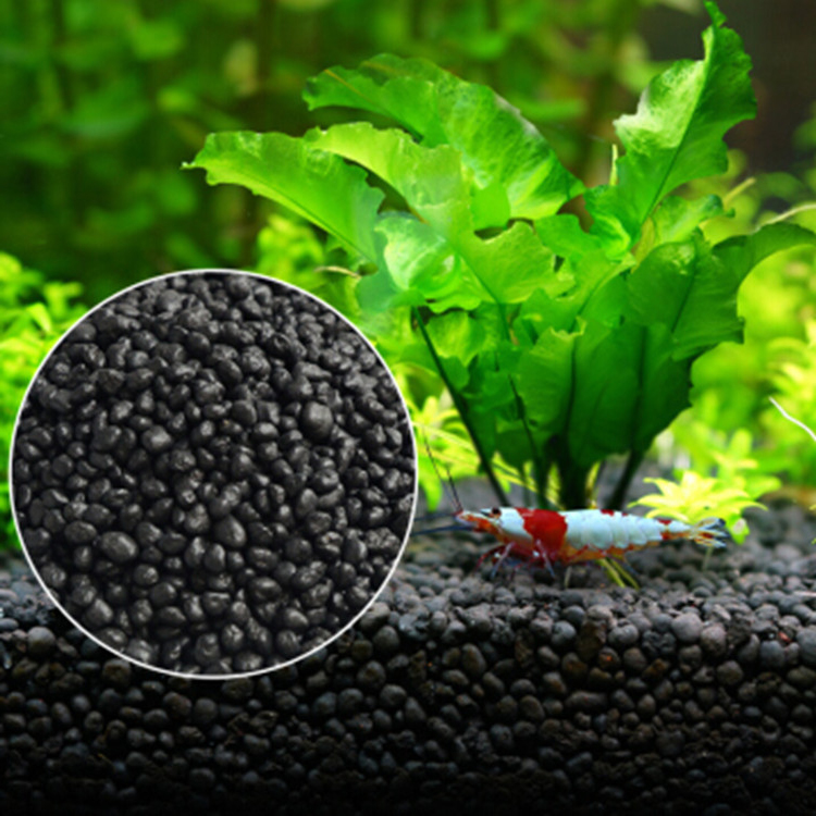 Aquarium Fish Photography - Aquarium Plant Seeds Soil Fishtank Substrate