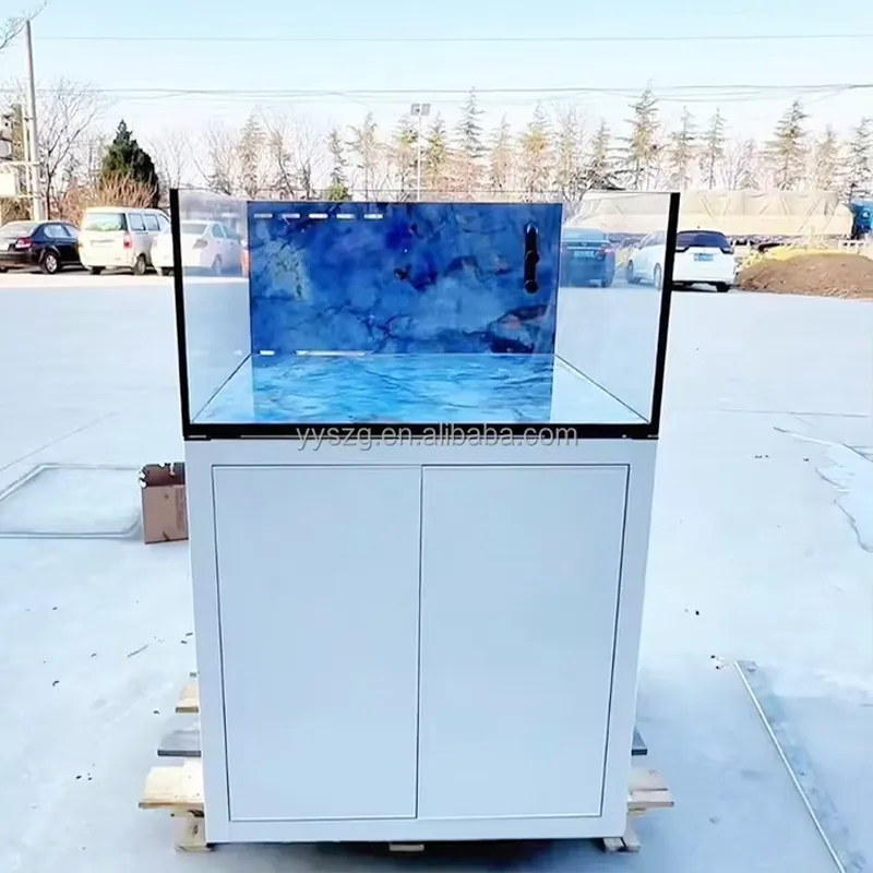 Aquarium Fish Restaurant - 2.6Ft Square Rectangle Glass Aquarium Tank