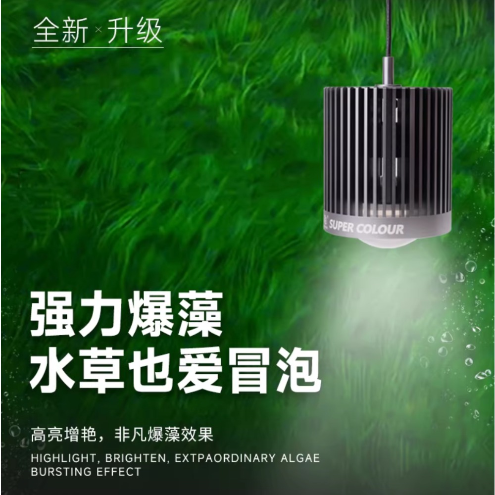 Mayin Super Colour Aquarium 10 - Aquarium Fish Colour 评论和价格