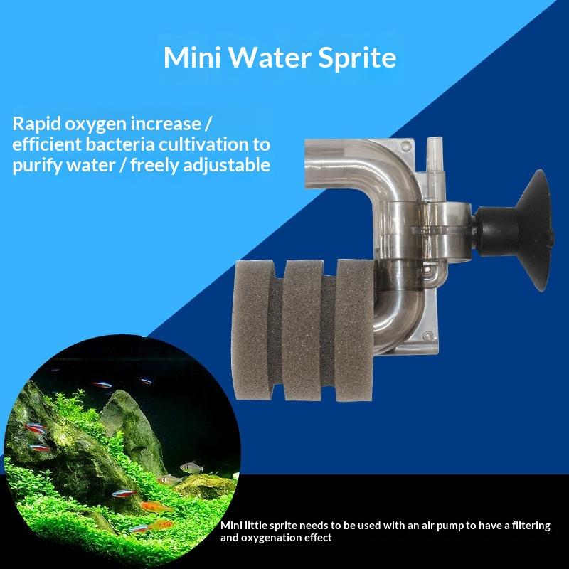 .Hot Sale-Mini Aquarium Sponge - Aquarium Fish For Sale 评论和价格