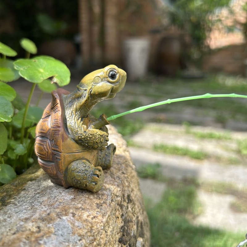 Turtle fishing fish tank aquar - Aquarium Fish Pond 评论和价格
