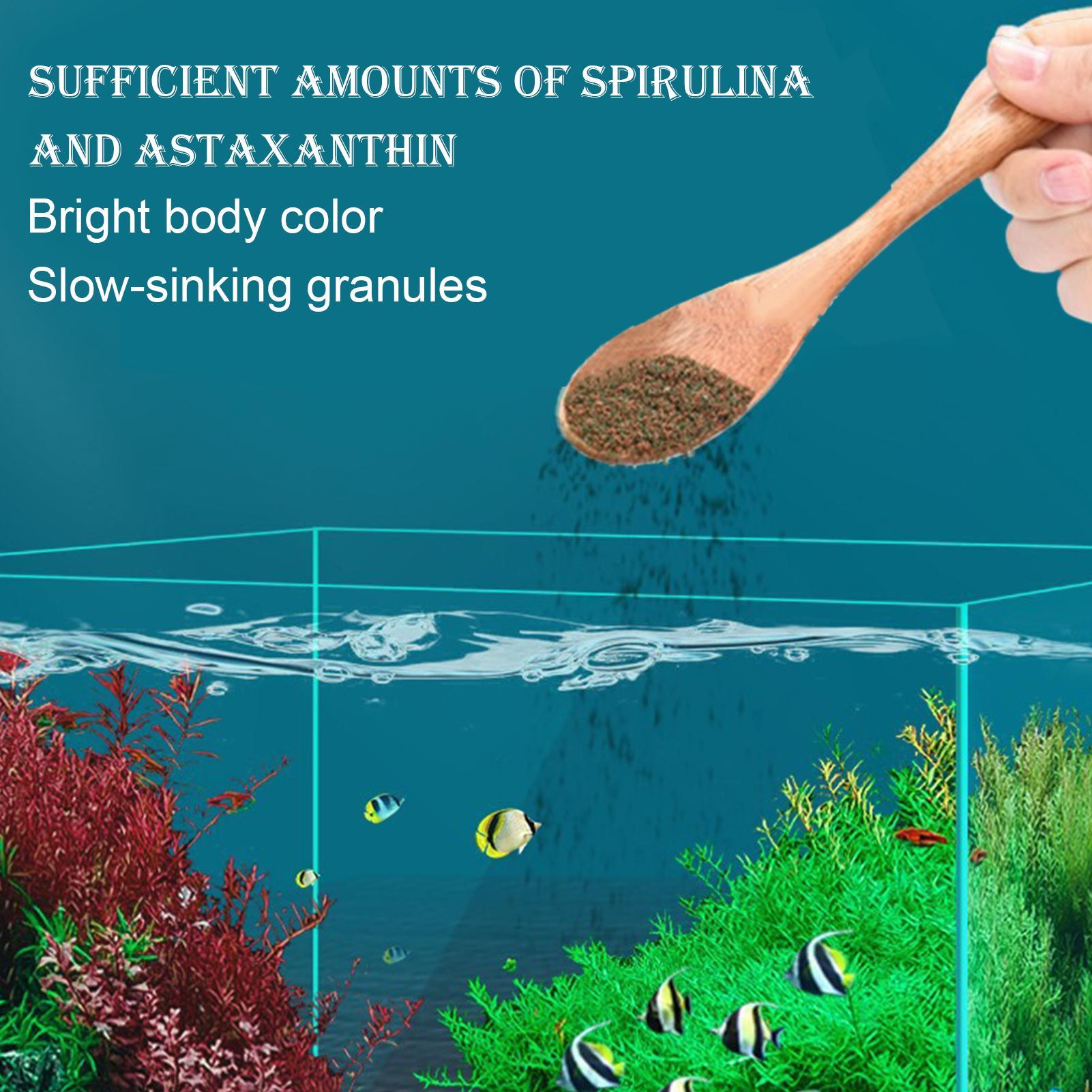 Betta Feed Ornamental Fish Foo - Aquarium Fish Restaurant 评论和价格