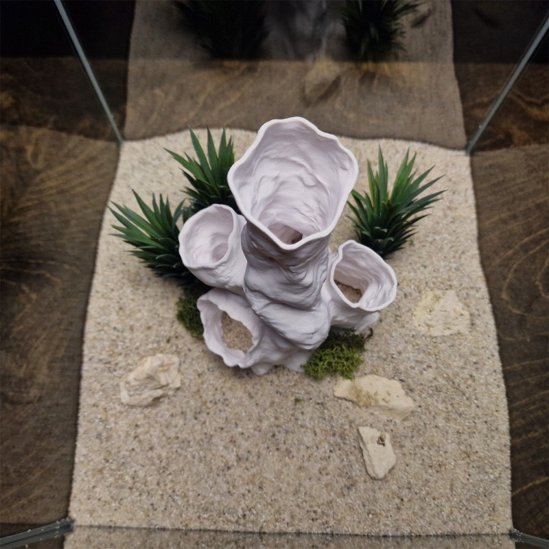 Hot Sale 3D Printed Coral Tunn - Aquarium Fish For Sale 评论和价格