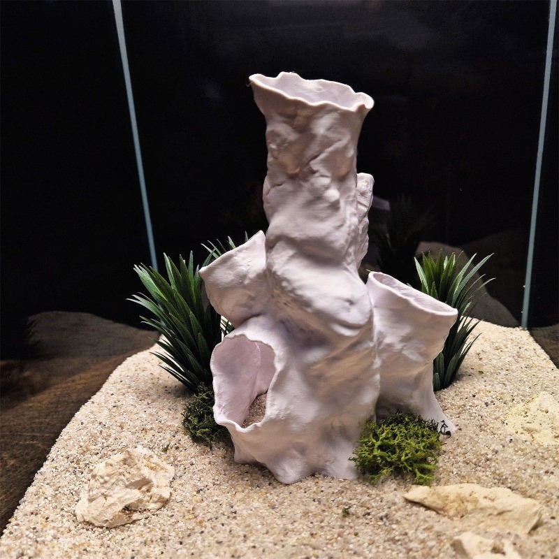 Hot Sale 3D Printed Coral Tunn - Aquarium Fish For Sale 评论和价格