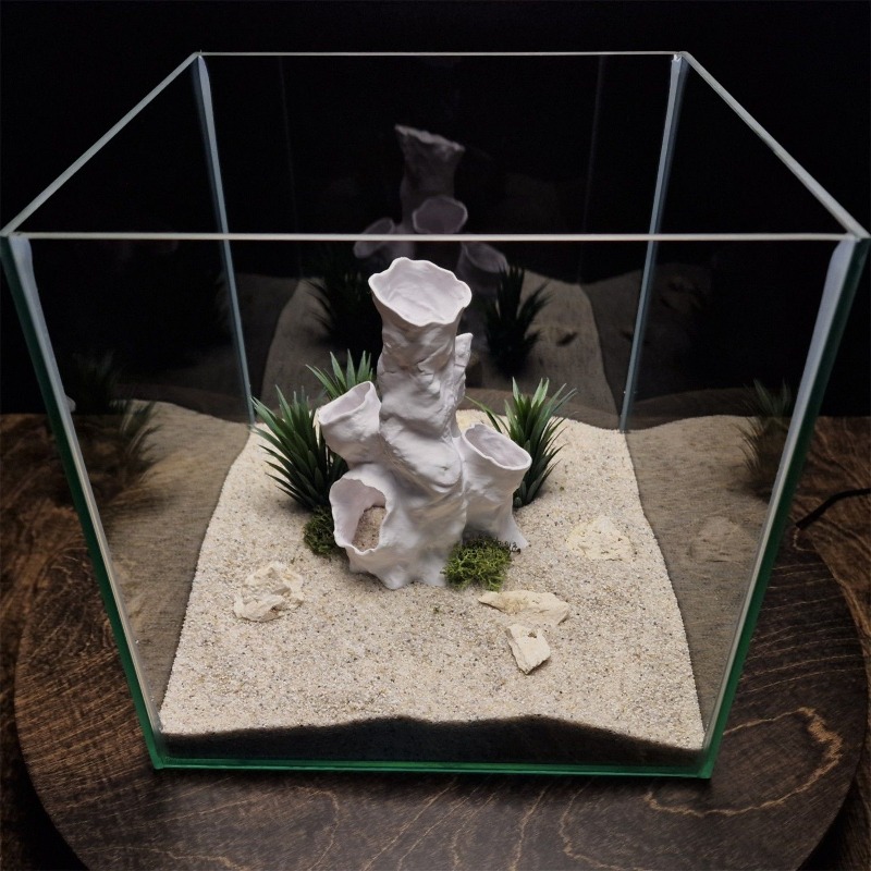 Hot Sale 3D Printed Coral Tunn - Aquarium Fish For Sale 评论和价格