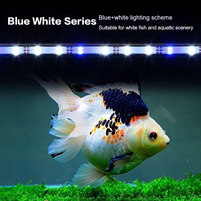 17-47CM USB Plug Aquarium Ligh - Aquarium Fish Photography 评论和价格