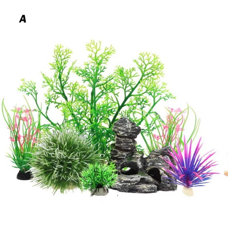 10pcs Hot Selling New Arrival  - Aquarium Fish For Sale 评论和价格
