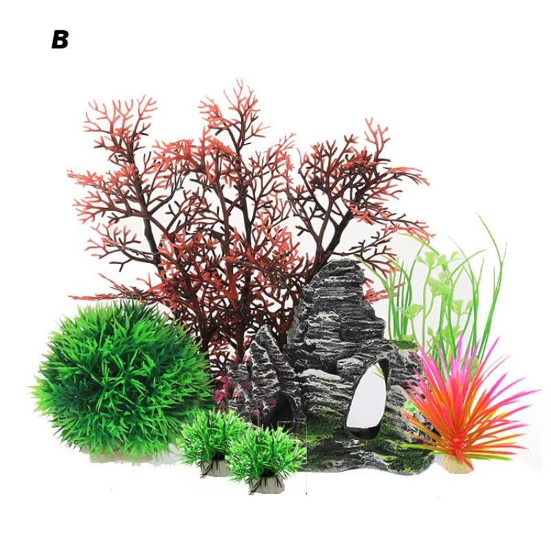 10pcs Hot Selling New Arrival  - Aquarium Fish For Sale 评论和价格