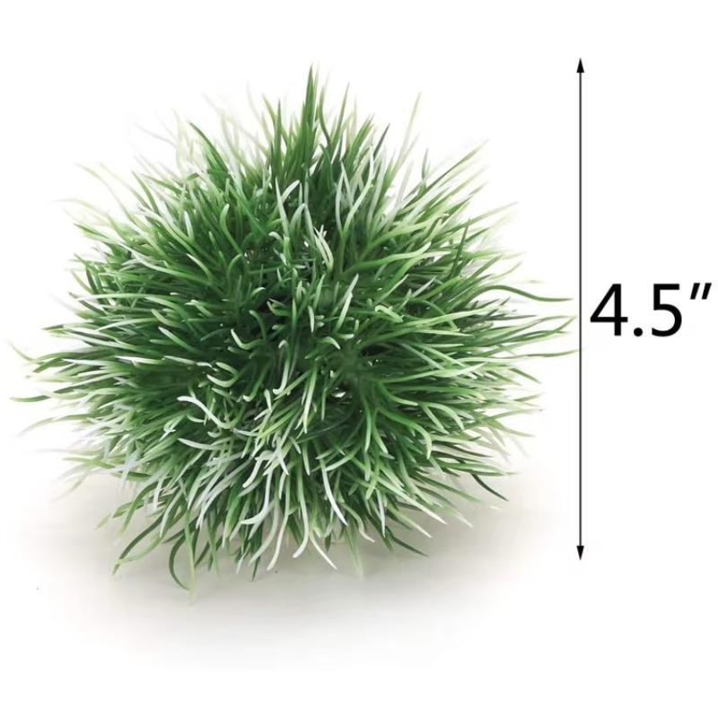 10pcs Hot Selling New Arrival  - Aquarium Fish For Sale 评论和价格