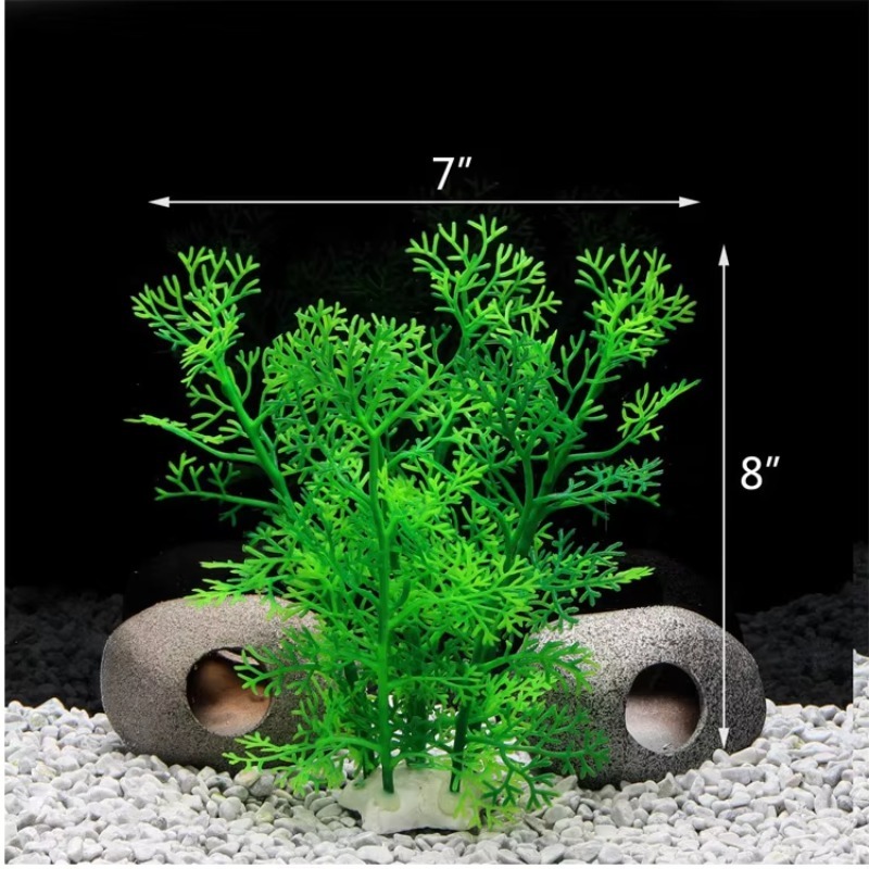 10pcs Hot Selling New Arrival  - Aquarium Fish For Sale 评论和价格