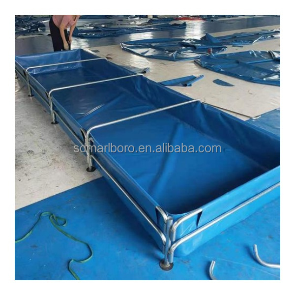 AIROW Custom Commercial High Q - Aquarium Fish For Sale 评论和价格