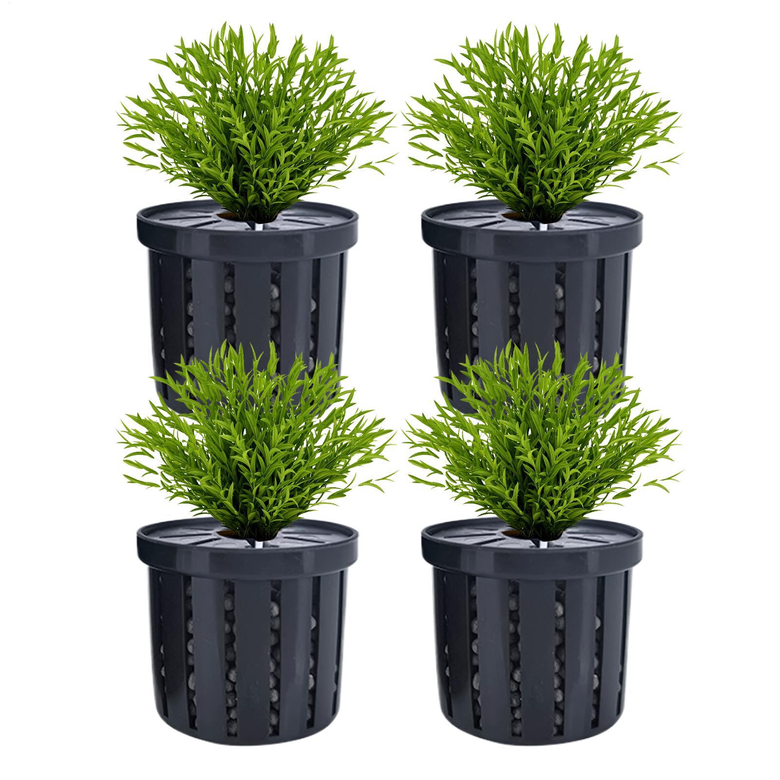 4pcs Aquarium Plant Holder Bas - Aquarium Fish Restaurant 评论和价格