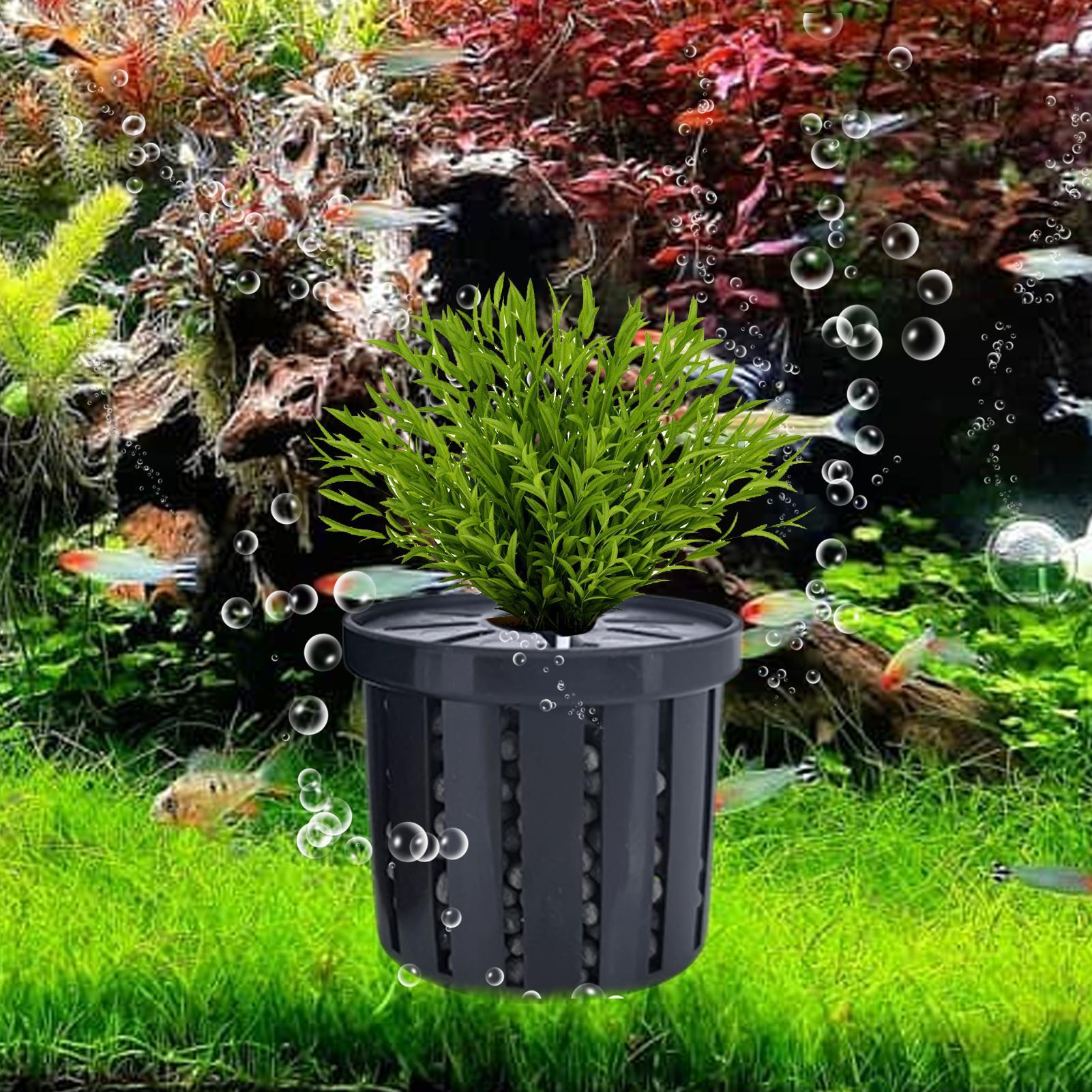 4pcs Aquarium Plant Holder Bas - Aquarium Fish Restaurant 评论和价格
