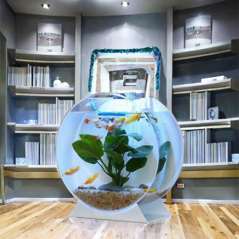 Hot Sale Modern Eco-Friendly A - Aquarium Fish For Sale 评论和价格