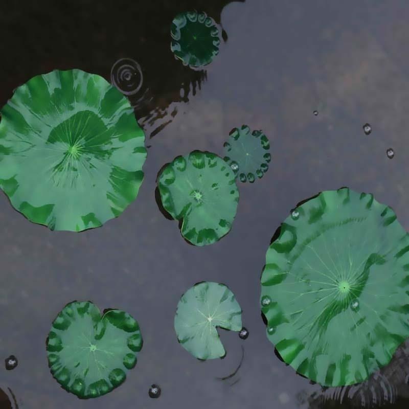 2026 Artificial Water Lily Lot - Aquarium Fish Pond 评论和价格