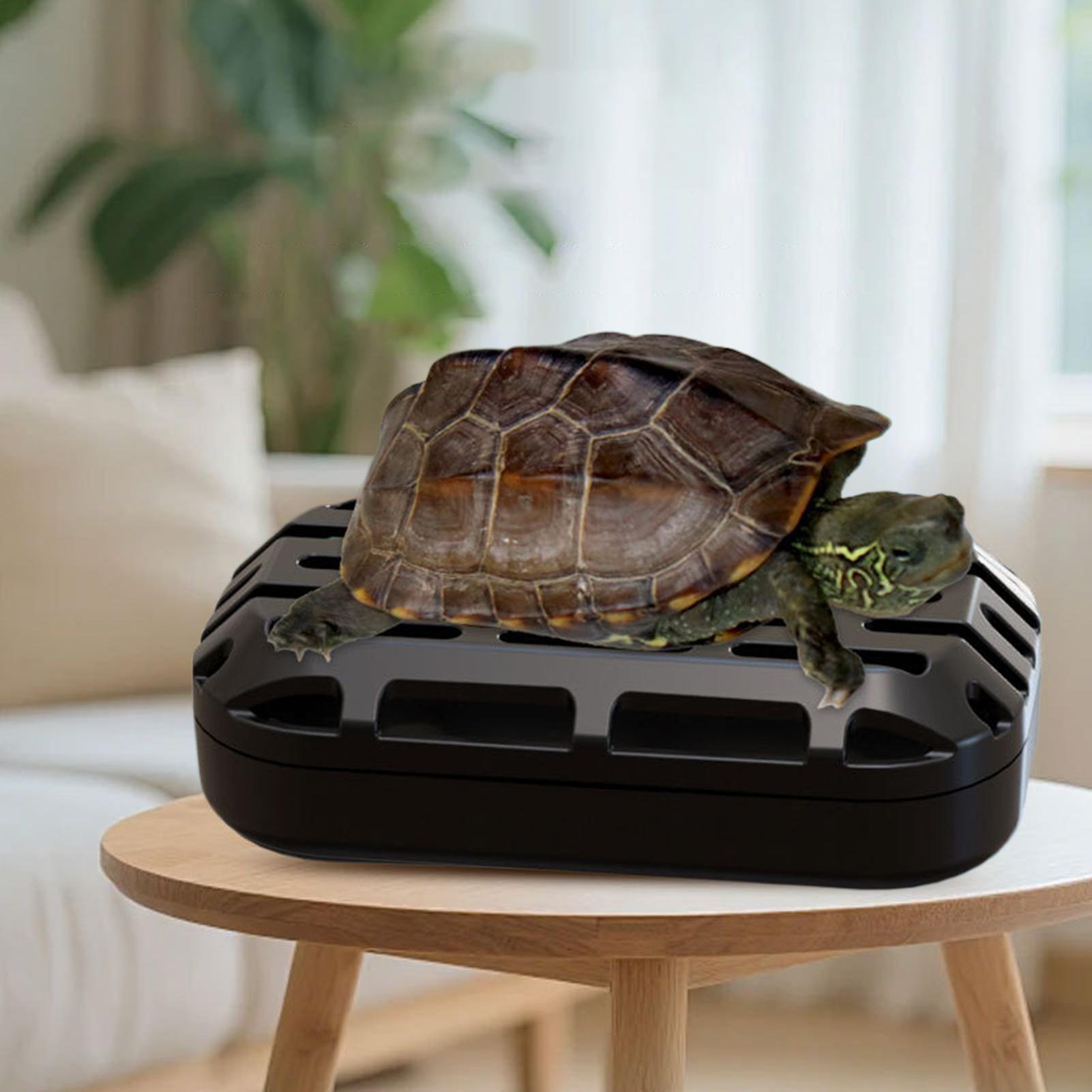 Turtle Poop Catcher Suction Cu - Aquarium Fish Restaurant 评论和价格