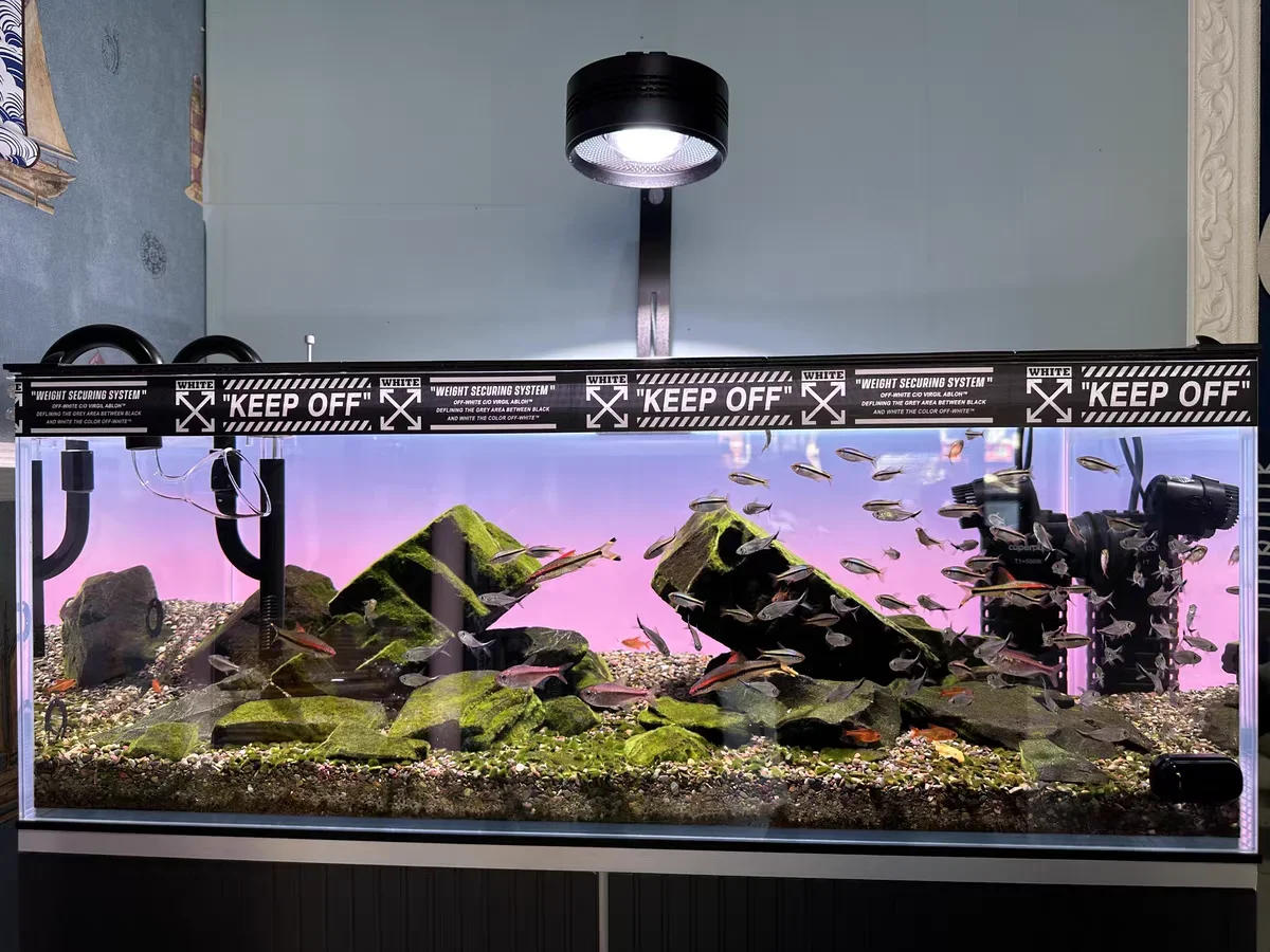 RGB Acrylic Fish Tank Backdrop - Aquarium Fish Colour 评论和价格