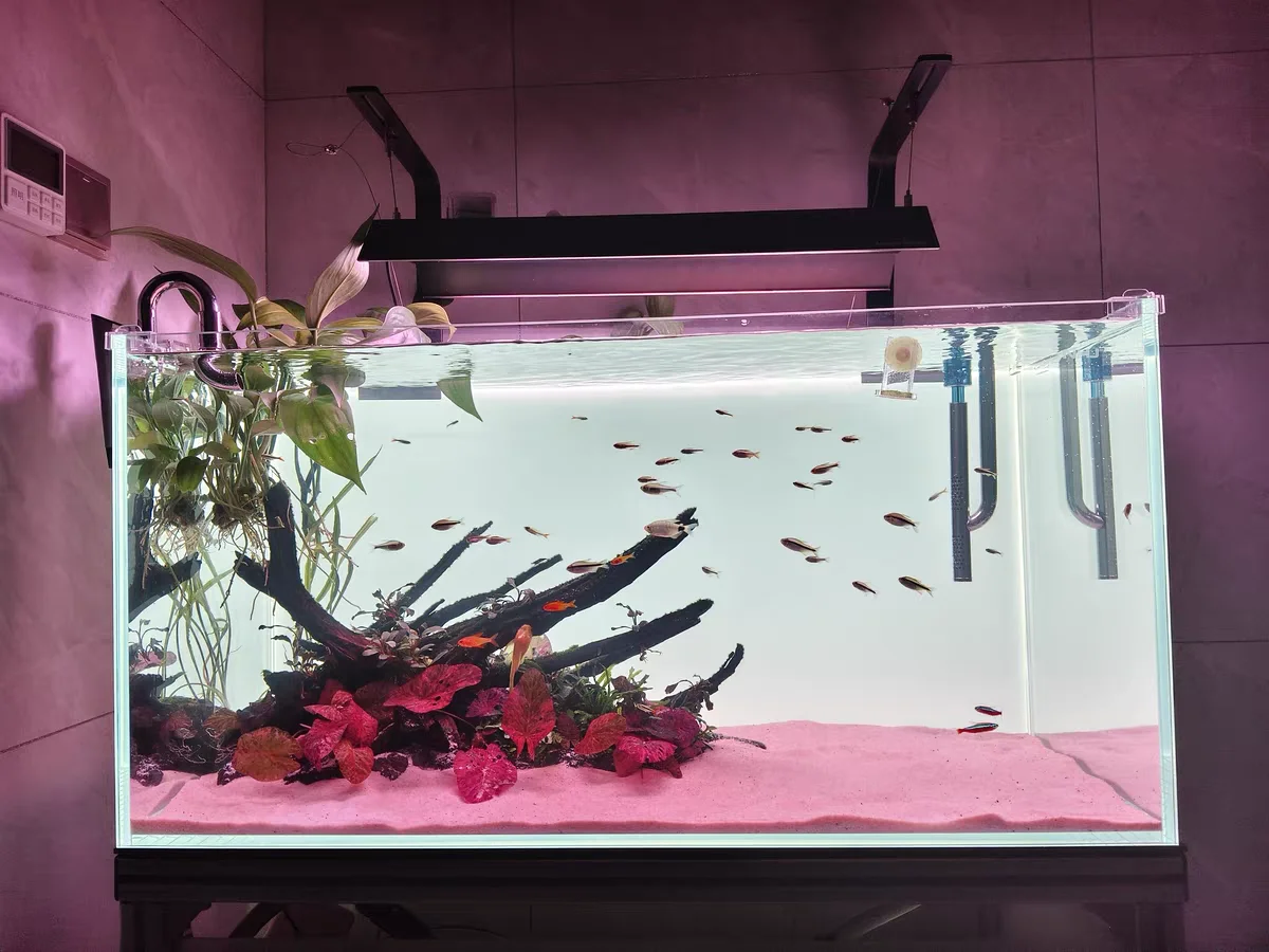 RGB Acrylic Fish Tank Backdrop - Aquarium Fish Colour 评论和价格