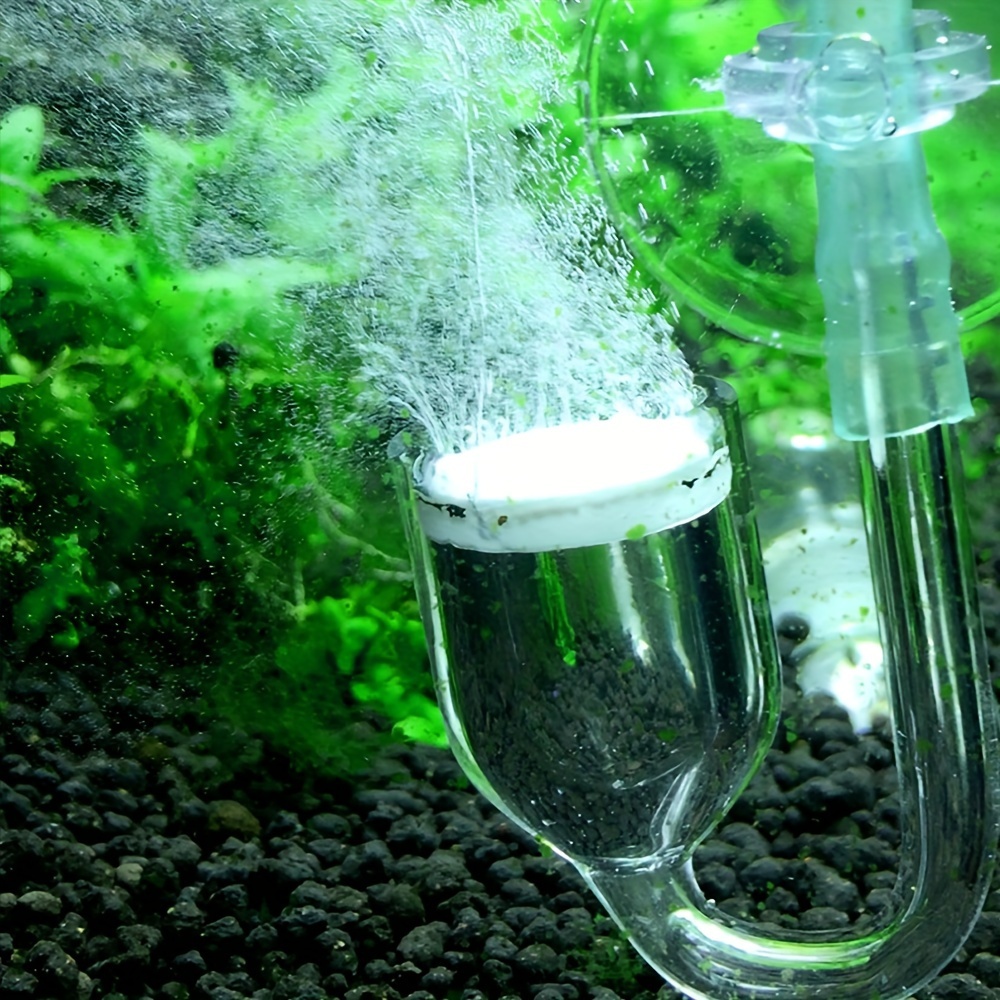 Aquarium Glass CO2 Atomizer Di - Aquarium Fish Photography 评论和价格