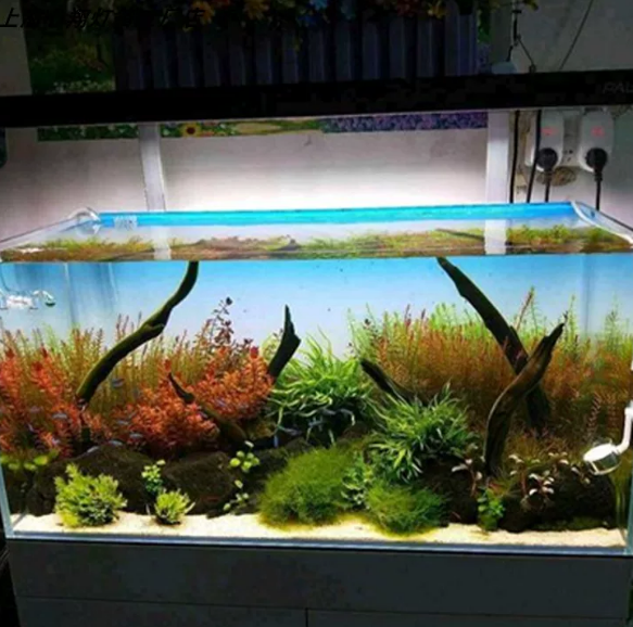 RGB Acrylic Fish Tank Backdrop - Aquarium Fish Colour 评论和价格
