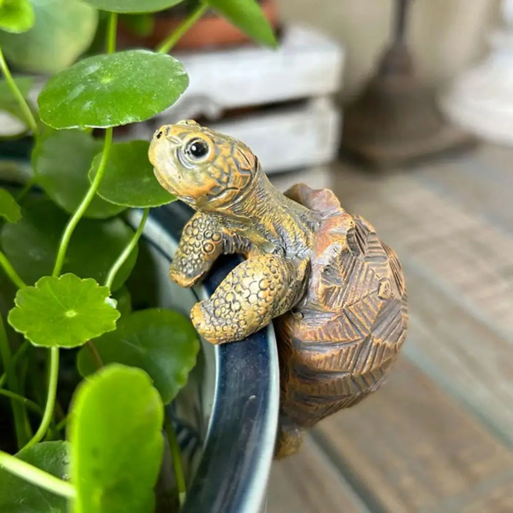 Fishing Turtle Hanging Turtle  - Aquarium Fish Pond 评论和价格