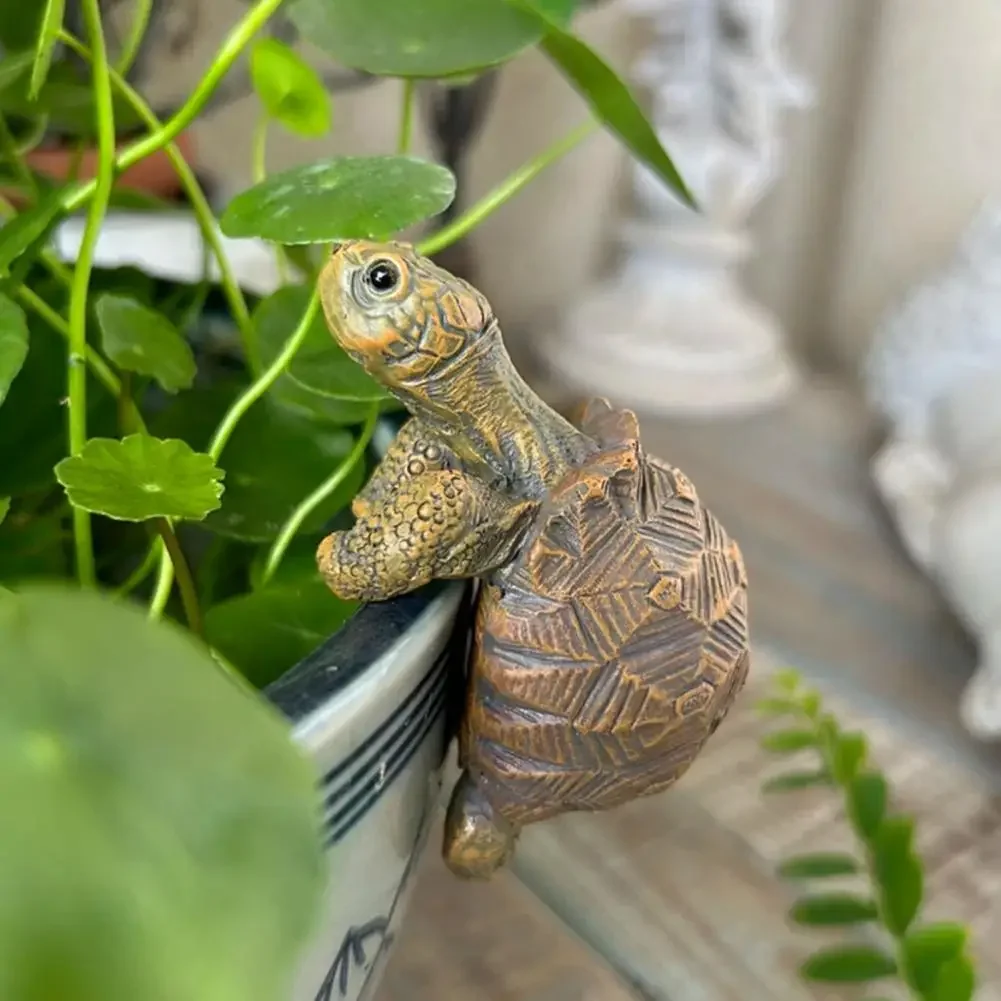 Fishing Turtle Hanging Turtle  - Aquarium Fish Pond 评论和价格
