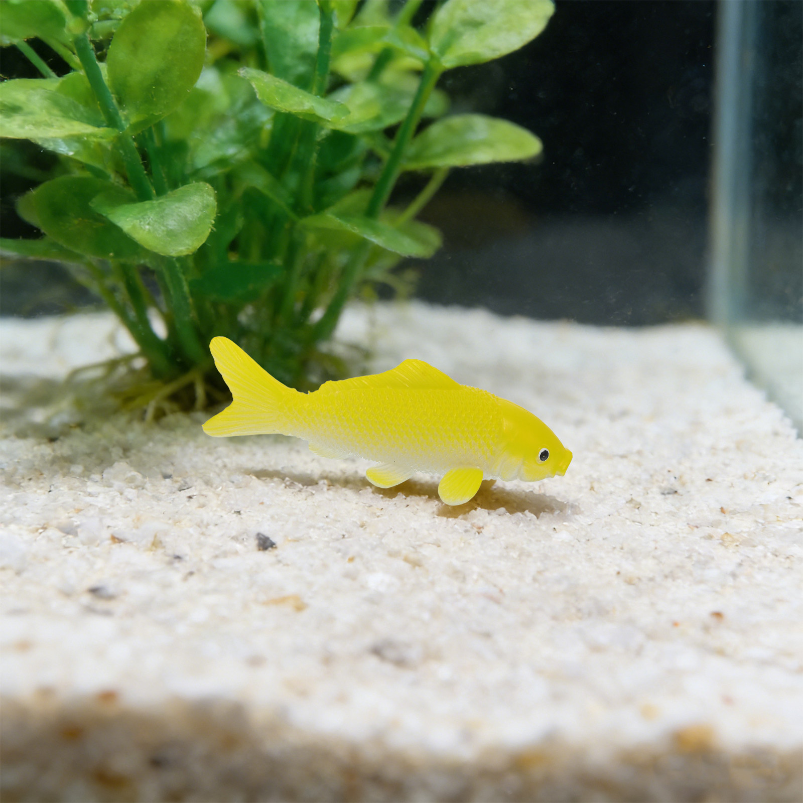 3pcs Fish Crafts Toys Realisti - Aquarium Fish Pond 评论和价格