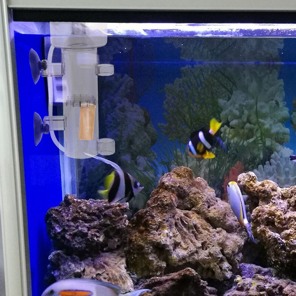 Protein Skimmer Internal Mini  - Fish Tank Filter Aquarium 评论和价格