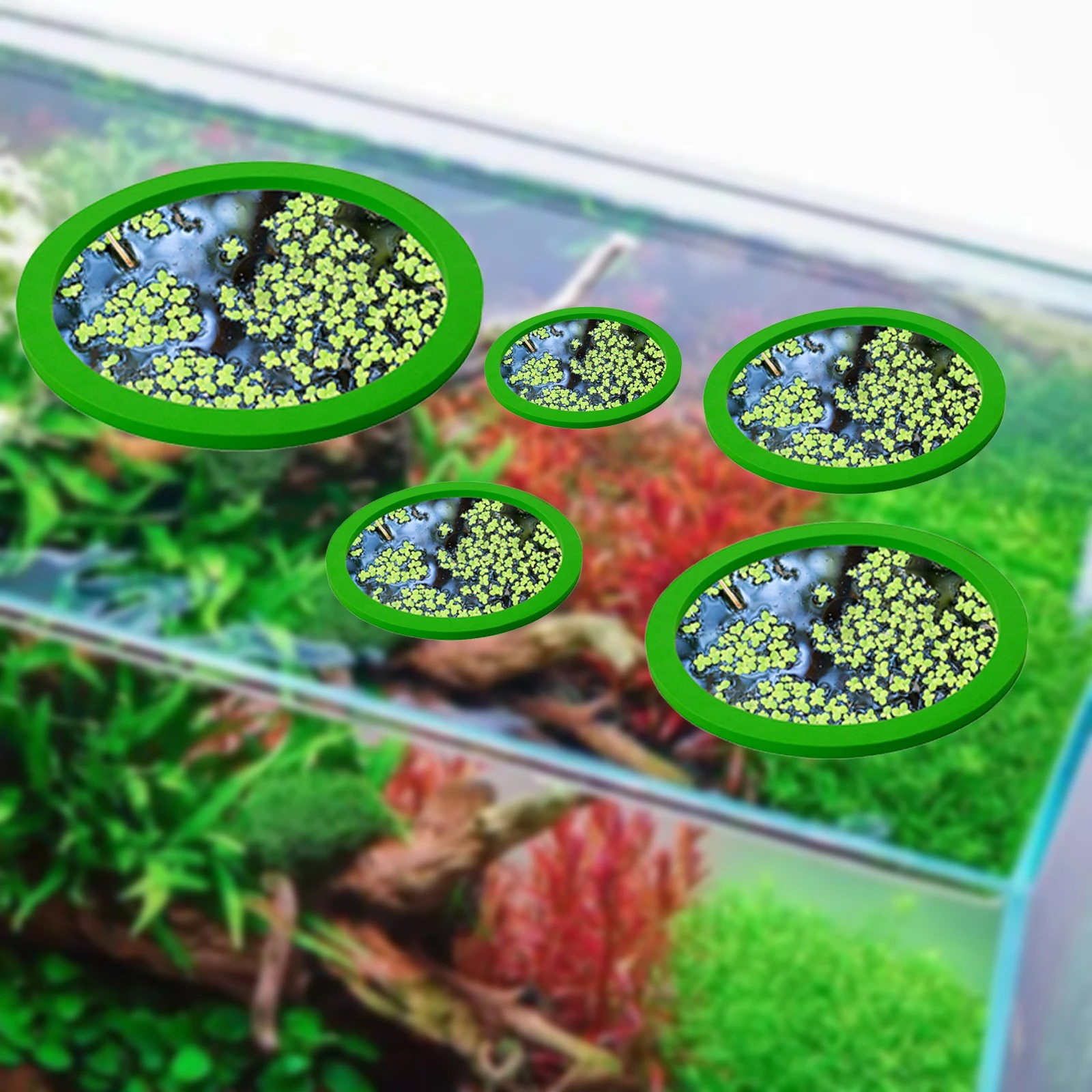 5Pcs EVA Fish Feeding Ring Aqu - Aquarium Fish Photography 评论和价格