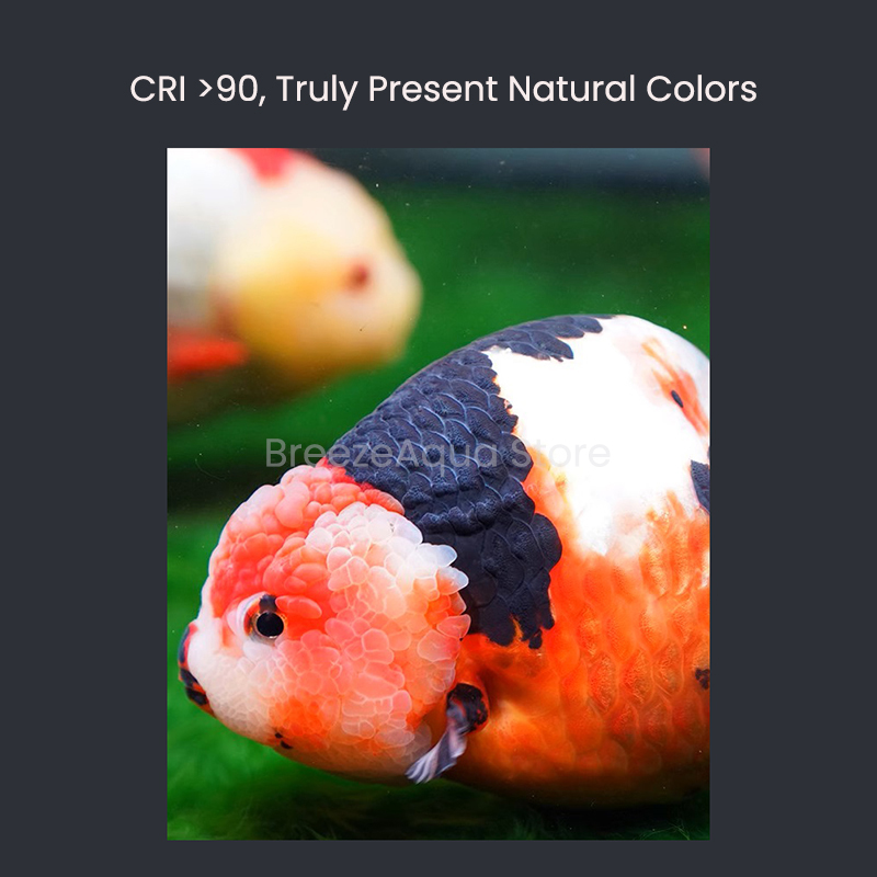 MAYIN Super Colour 100W Freshw - Aquarium Fish Colour 评论和价格