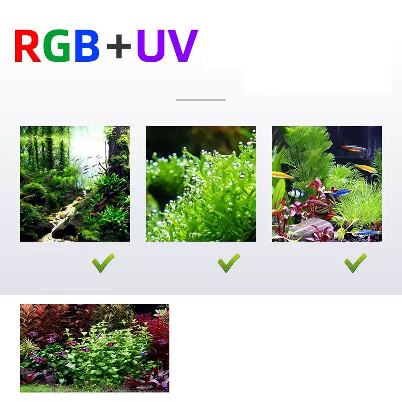 Led Lighting 60cm 80cm 90cm RG - Aquarium Fish For Sale 评论和价格