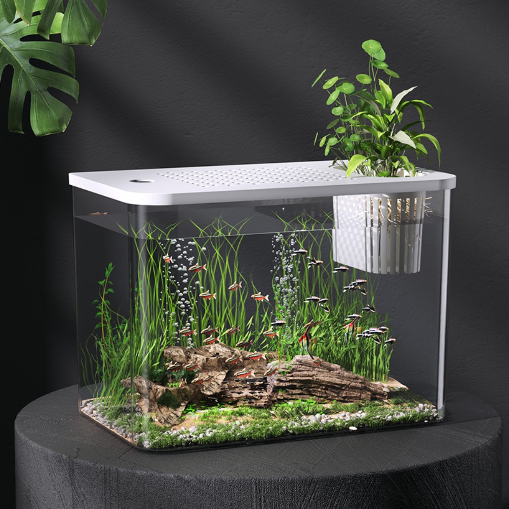 PET+ABS Fish Tank Transparent  - Aquarium Fish For Sale 评论和价格