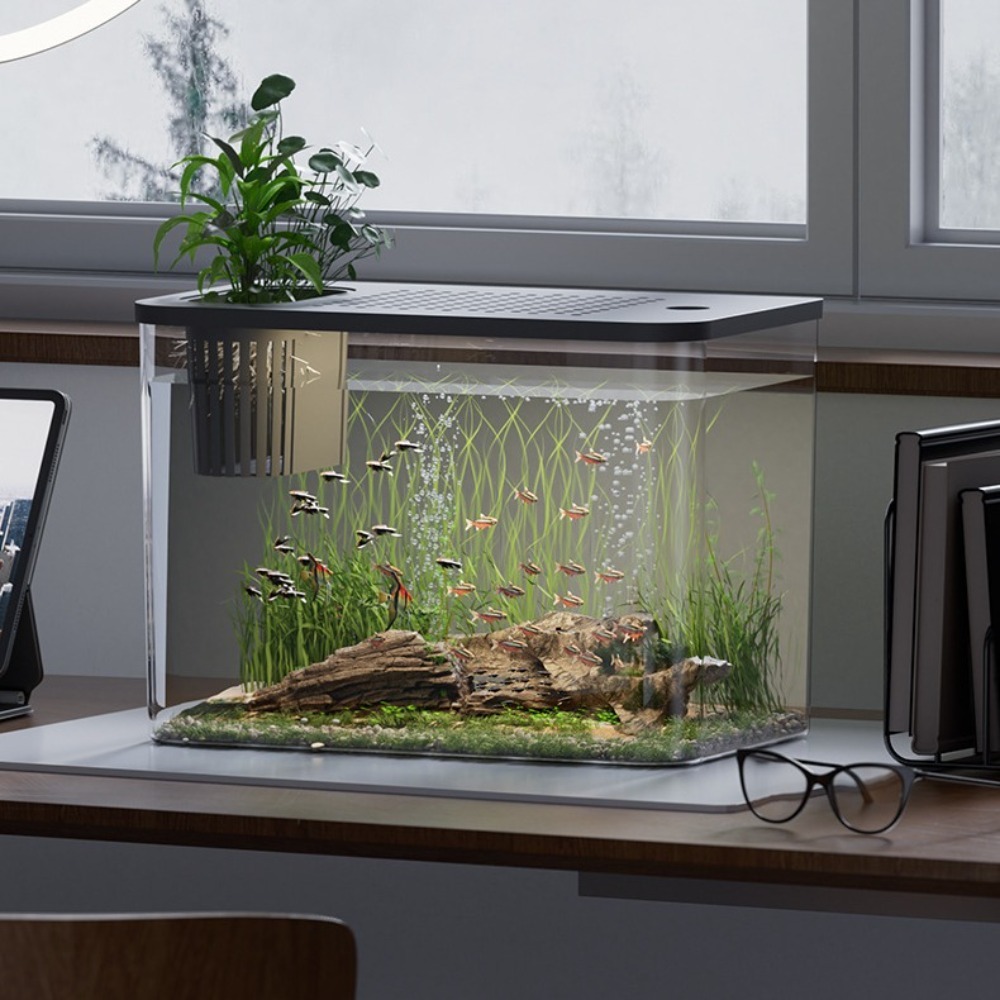 PET+ABS Fish Tank Transparent  - Aquarium Fish For Sale 评论和价格