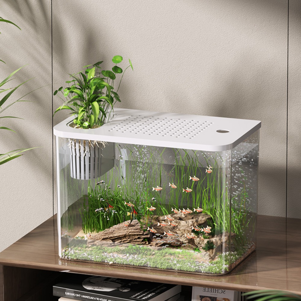 PET+ABS Fish Tank Transparent  - Aquarium Fish For Sale 评论和价格