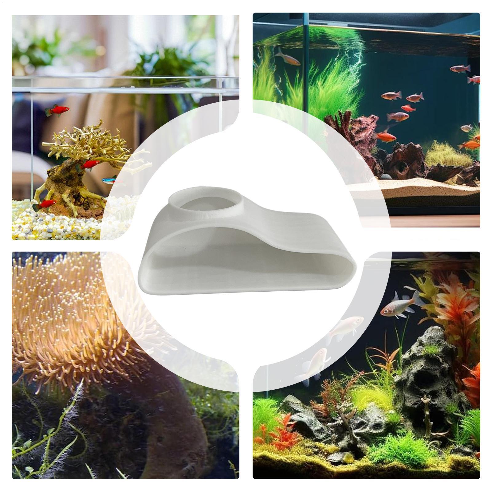 Aquarium Underground Tunnel Ca - Aquarium Fish Restaurant 评论和价格