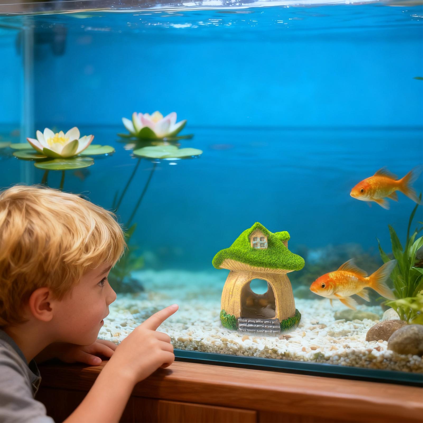 Aquarium Statue Under Water Sc - Aquarium Fish Restaurant 评论和价格