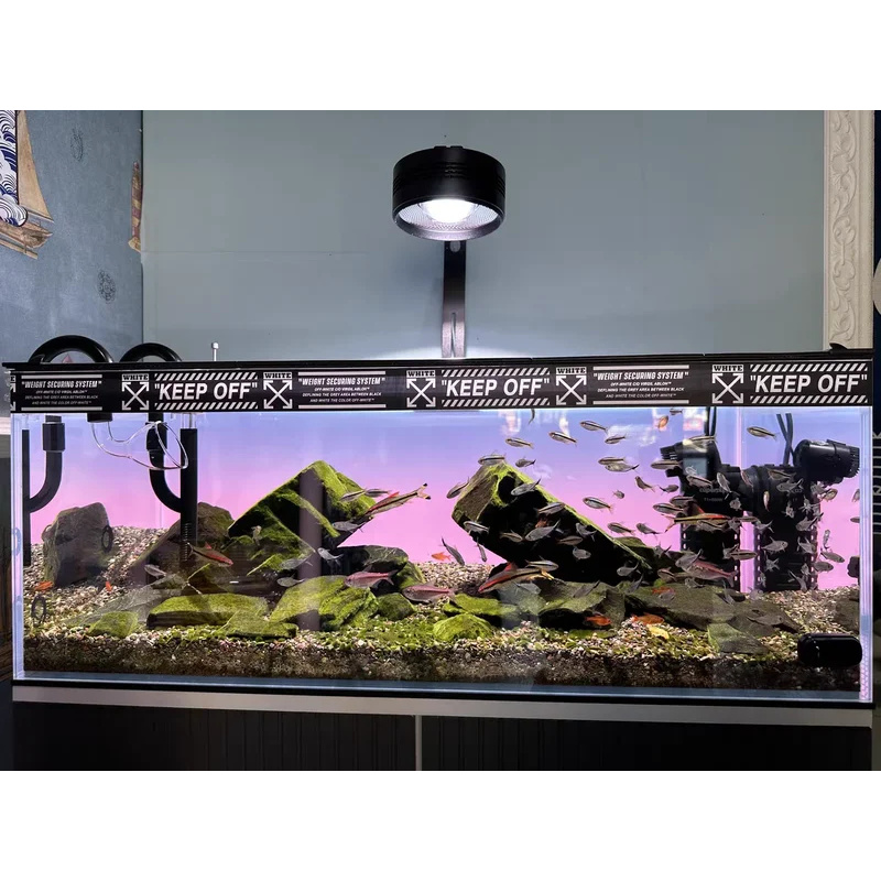 RGB Acrylic Fish Tank Backdrop - Aquarium Fish Colour 评论和价格