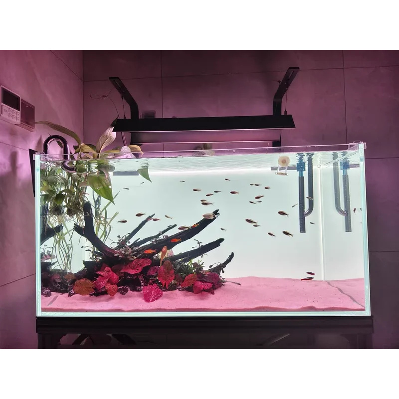 RGB Acrylic Fish Tank Backdrop - Aquarium Fish Colour 评论和价格