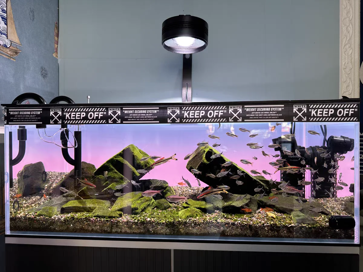 RGB Acrylic Fish Tank Backdrop - Aquarium Fish Colour 评论和价格