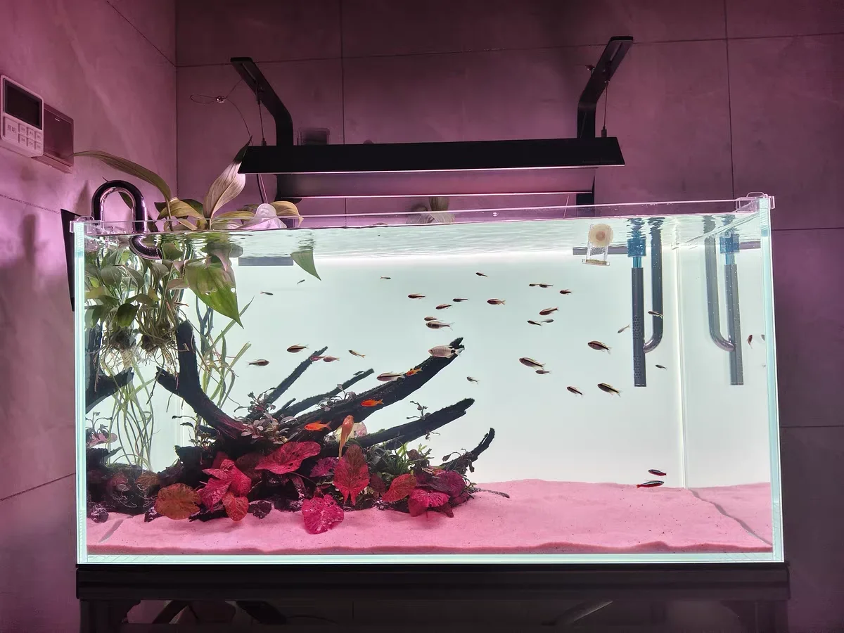 RGB Acrylic Fish Tank Backdrop - Aquarium Fish Colour 评论和价格