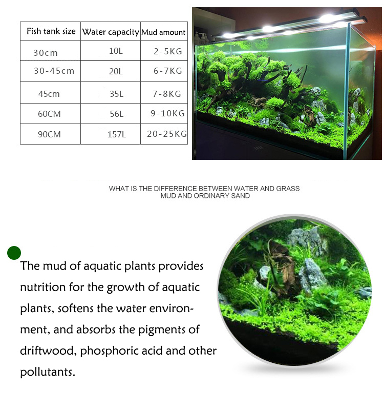 Aquarium Plant Seeds Soil Fish - Aquarium Fish Photography 评论和价格