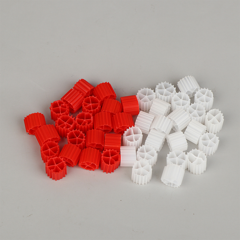 Hot Sale Wihte Red K1 Filter M - Aquarium Fish For Sale 评论和价格