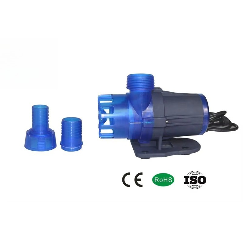 Hot Sale Extra Quiet Seawater  - Aquarium Fish For Sale 评论和价格