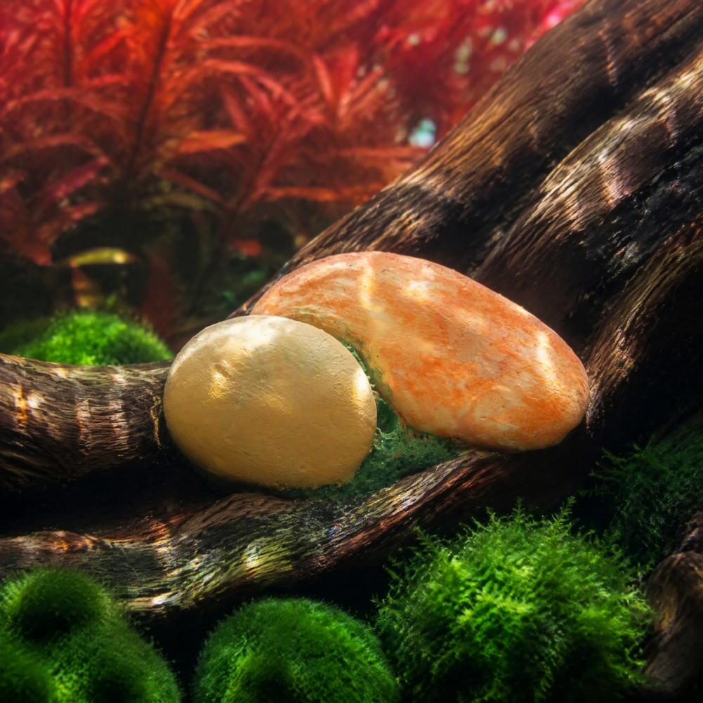 Aquatic Habitat Decor Aquarium - Aquarium Fish Bridge 评论和价格
