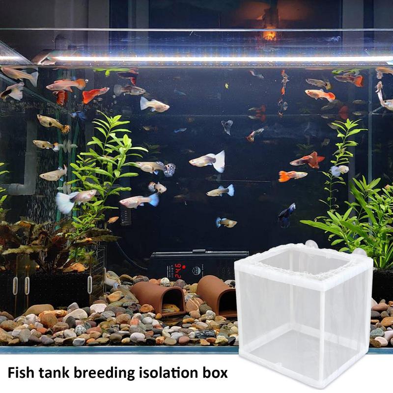 Fish Breeder Box with Suction, - Aquarium Fish For Sale 评论和价格