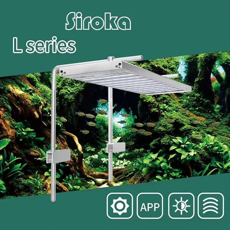 Hot Sale Silver 55W-110W Dimma - Aquarium Fish For Sale 评论和价格