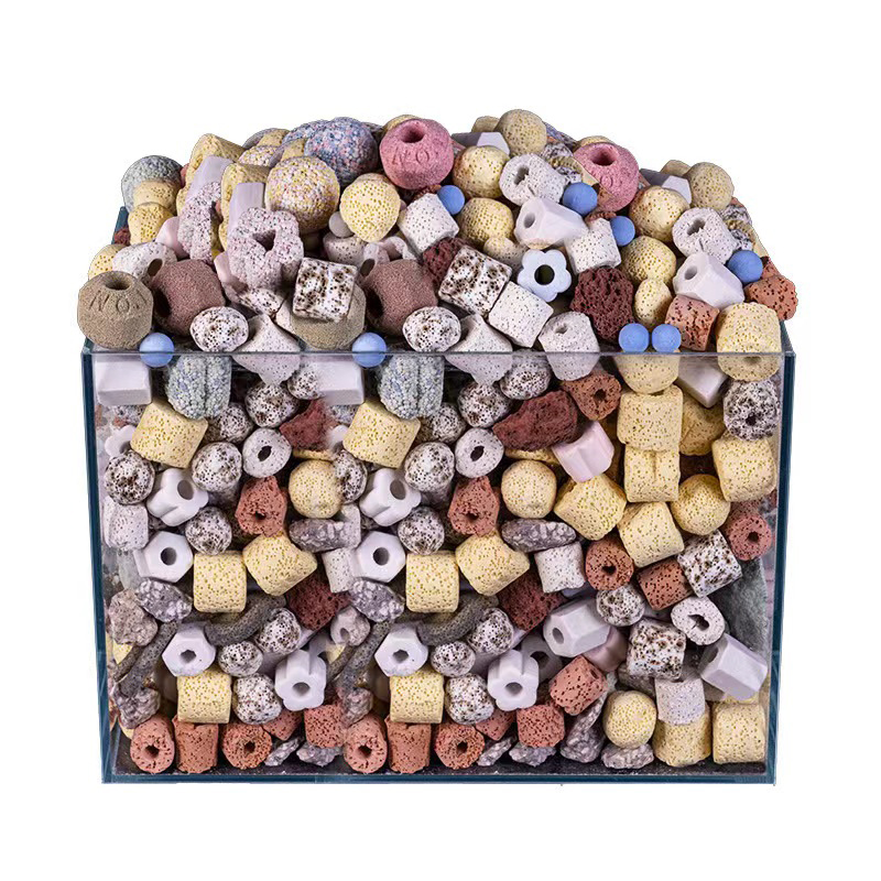 250g 500g 1000g 14 Types Aquar - Aquarium Fish For Sale 评论和价格